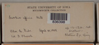 Image Associated With the Occurence